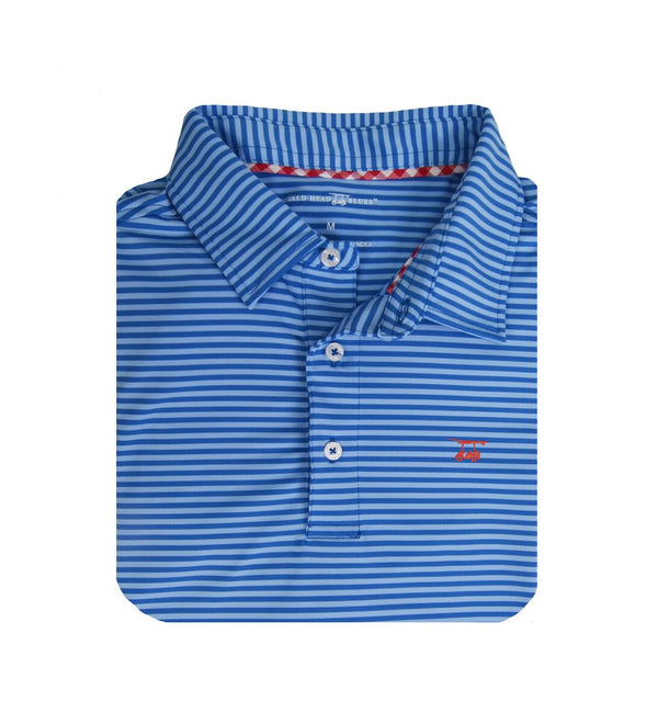 Youth Albatross Polo- Royal Blue/Bell Stripes