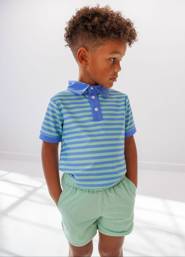 Sky Blue & Palm Green Stripe Polo