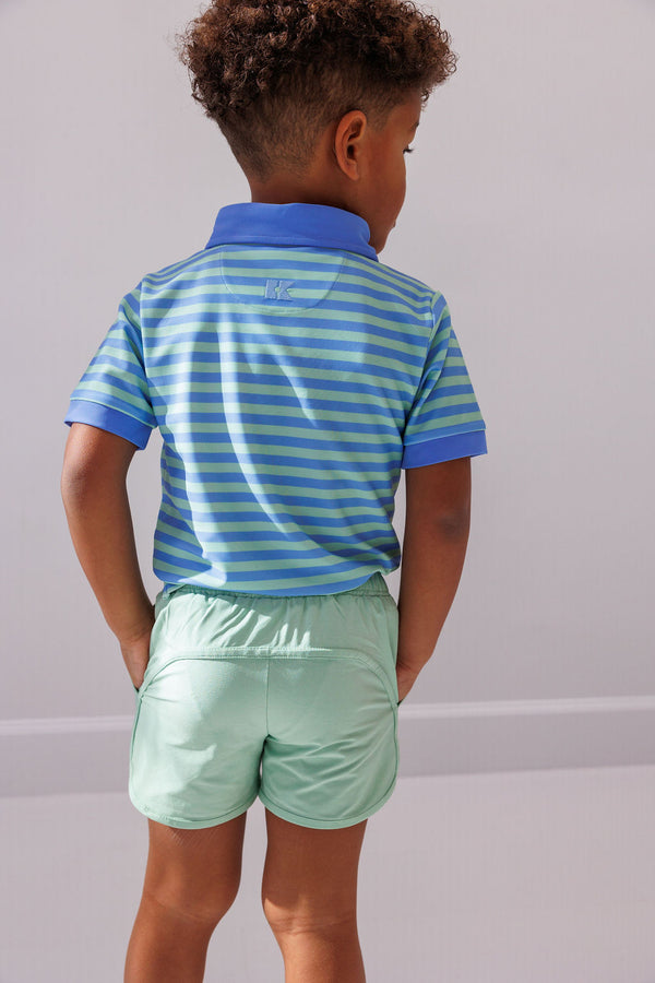 Sky Blue & Palm Green Stripe Polo