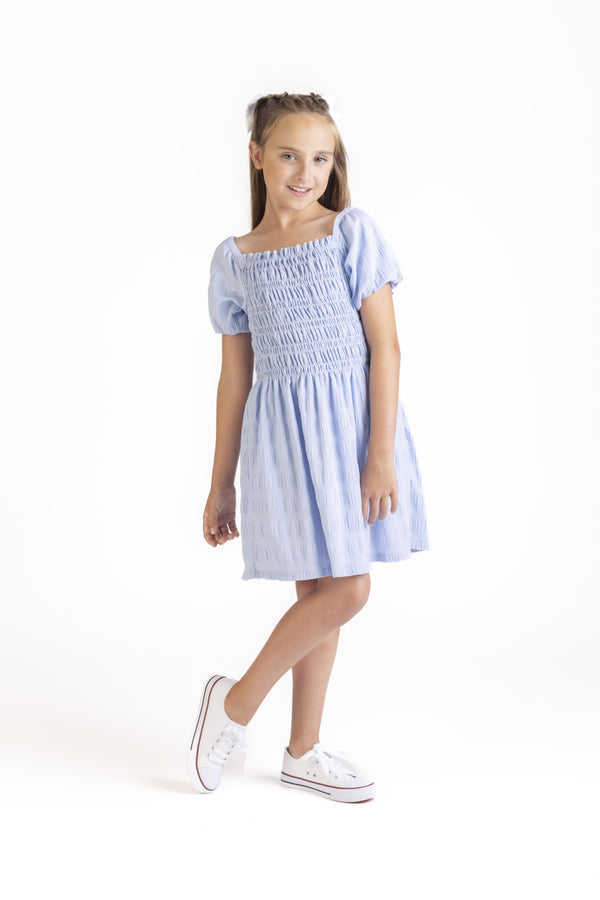 Taylor Dress- Blue