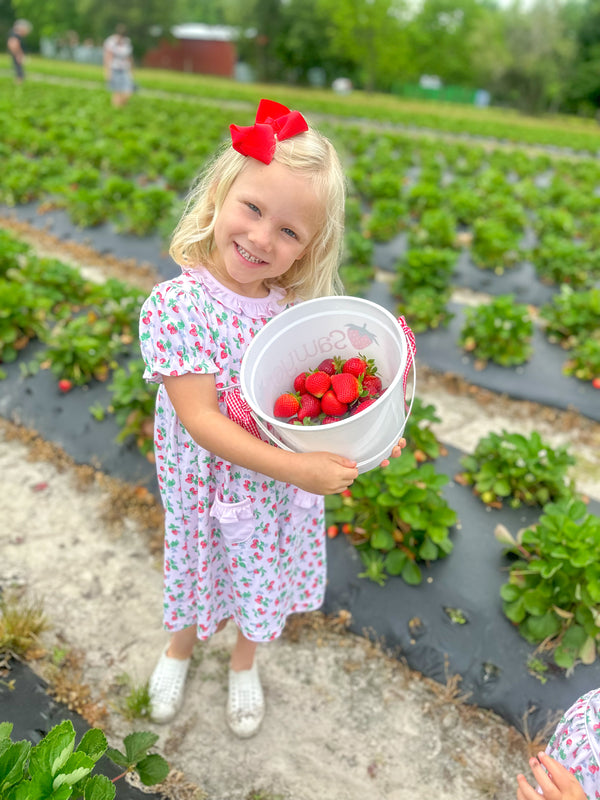 Berry-Sweets Pima Dress