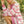 Pink & White Striped Half-Zip Knit Dress