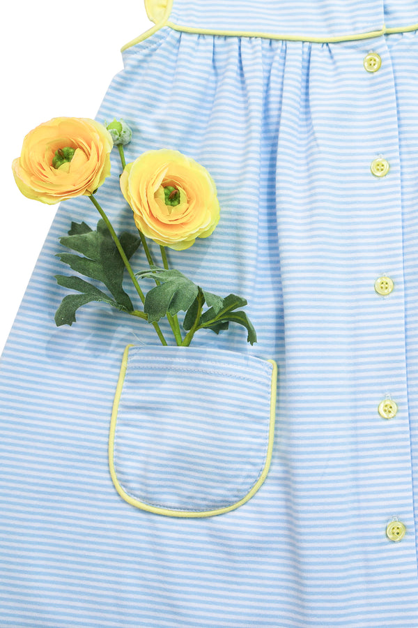 Harper Dress- Blue Stripe with Yellow