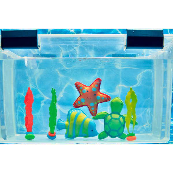 Turtle Dive Toy Set